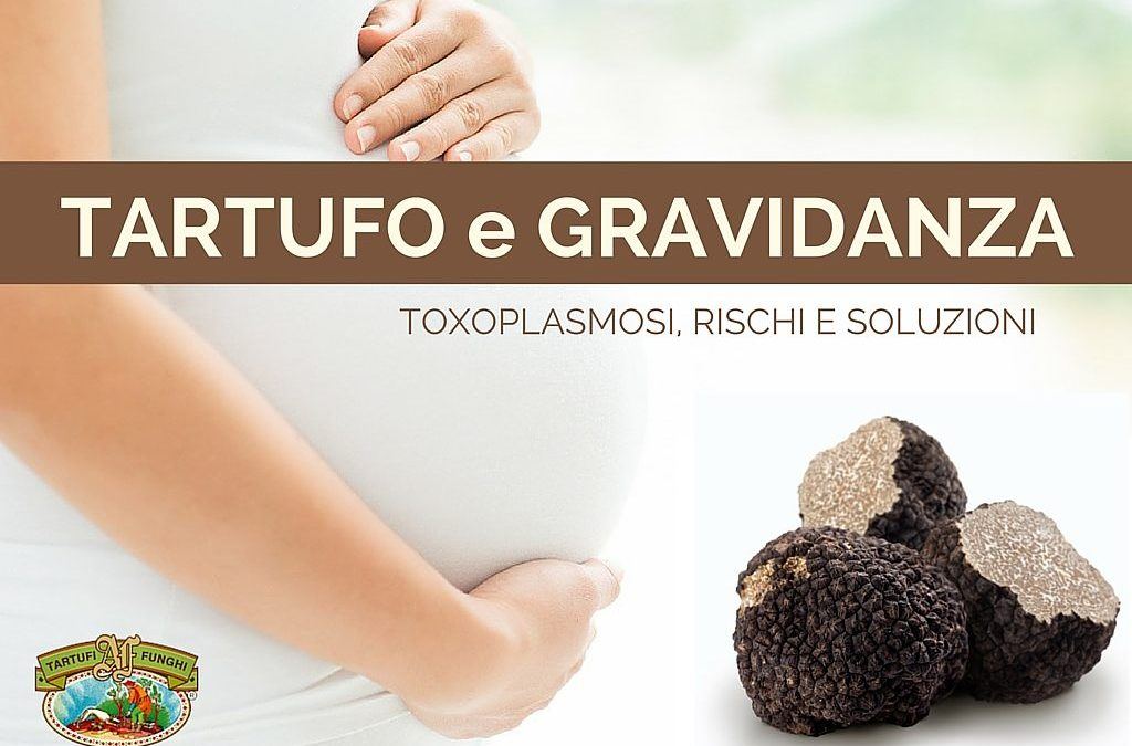 Tartufo e gravidanza: esiste il rischio toxoplasmosi?