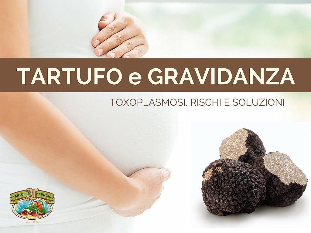 tartufo-e-gravidanza-toxoplasmosi-fortunati-antonio