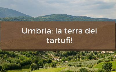 Tartufi in Umbria: varietà, stagioni e prezzi!