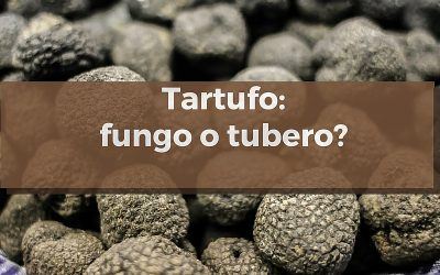 Tartufo: fungo o tubero? Ecco la risposta!